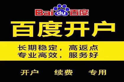 成功案例：竞价推广助力品牌打造知名品牌